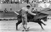 Julio Aparicio. Corrida des vendanges. Arles 1959. A bullfight Picasso attended (see "Picasso"). - Photo by Edward Quinn