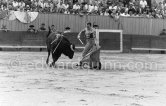 Julio Aparicio. Arles 1959. A bullfight Picasso attended (see "Picasso"). - Photo by Edward Quinn