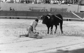 Julio Aparicio. Arles 1959. A bullfight Picasso attended (see "Picasso"). - Photo by Edward Quinn
