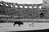 Julio Aparicio. Arles 1960. A bullfight Picasso attended (see "Picasso"). - Photo by Edward Quinn