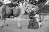 Brigitte Bardot with a donkey and her mixed breed Guapa during filming of "Les bijoutiers du clair de lune" ("The Night Heaven Fell"). Studios de la Victorine, Nice 1958. - Photo by Edward Quinn