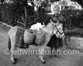Brigitte Bardot with a donkey and her mixed breed Guapa during filming of "Les bijoutiers du clair de lune" ("The Night Heaven Fell"). Studios de la Victorine, Nice 1958. - Photo by Edward Quinn