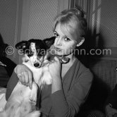 Brigitte Bardot with her mixed breed Guapa at the Hotel Negresco. Nice 1958. - Photo by Edward Quinn