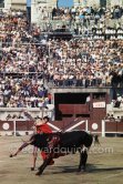 Paco Camino. Bullfight (corrida de toros, tauromaquia). Nimes 1960. A bullfight Picasso attended (see "Picasso"). - Photo by Edward Quinn