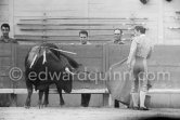 Antonio Chamaco. Corrida des vendanges à Arles 1959. A bullfight Picasso attended (see "Picasso"). - Photo by Edward Quinn