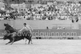 Antonio Chamaco. Corrida des vendanges à Arles 1959. A bullfight Picasso attended (see "Picasso"). - Photo by Edward Quinn