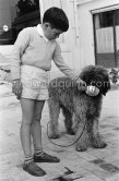 Charlie Chaplin's son Michael and Georges Simenon's poodle Mister. Cannes 1955 - Photo by Edward Quinn