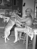 Le Corbusier (Charles-Édouard Jeanneret) with his dog at the restaurant L'Etoile de Mer, attached to his vacation cabin Le Cabanon. Roquebrune-Cap-Martin 1953. - Photo by Edward Quinn