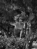 Mylène Demongeot. Cannes Film Festival 1957. - Photo by Edward Quinn