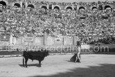 Bullfight (corrida de toros, tauromaquia): Luis Miguel Dominguin. Arles 1960. A bullfight Picasso attended (see "Picasso"). - Photo by Edward Quinn