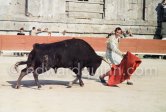 Luis Miguel Dominguin. Arles 1960. A bullfight Picasso attended (see "Picasso"). - Photo by Edward Quinn