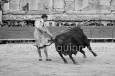 Luis Miguel Dominguin. Arles 1960. A bullfight Picasso attended (see "Picasso"). - Photo by Edward Quinn