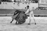 Luis Miguel Dominguin. Arles 1960. A bullfight Picasso attended (see "Picasso"). - Photo by Edward Quinn