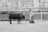 Luis Miguel Dominguin. Arles 1960. A bullfight Picasso attended (see "Picasso"). - Photo by Edward Quinn
