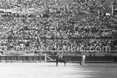 Luis Miguel Dominguin. Nimes 1960. A bullfight Picasso attended (see "Picasso"). - Photo by Edward Quinn
