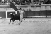 Luis Miguel Dominguin. Nimes 1960. A bullfight Picasso attended (see "Picasso"). - Photo by Edward Quinn