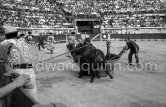 Luis Miguel Dominguin. Nimes 1960. A bullfight Picasso attended (see "Picasso"). - Photo by Edward Quinn