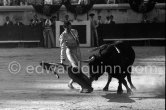 Luis Miguel Dominguin. Nimes 1960. A bullfight Picasso attended (see "Picasso"). - Photo by Edward Quinn