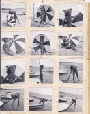 "Miss Palm Beach" Colette Gosse, Cannes 1951. Contact prints. Photos from original negatives available. - Photo by Edward Quinn