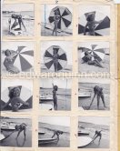 "Miss Palm Beach" Colette Gosse, Cannes 1951. Contact prints. Photos from original negatives available. - Photo by Edward Quinn