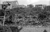Spectators crowd the slopes of "Le Rocher". Monaco Grand Prix 1950. - Photo by Edward Quinn