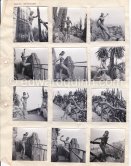 Gerda Gribnace. Monte Carlo 1951.  Contact prints. Photos from original negatives available. - Photo by Edward Quinn