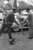 Audrey Hepburn and Mel Ferrer with their little dog. Cap d'Antibes, Eden Roc 1960. Car: 1960 Chevrolet Bel Air Sport Sedan - Photo by Edward Quinn