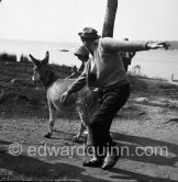 Danny Kaye, Cannes Film Festival 1955. - Photo by Edward Quinn