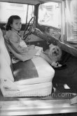 Yasmina Khan, daughter of Prince Aly Khan and Rita Hayworth. Also traveling her faithful companion Harvey. Nice Airport 1956. Car: 1956. Nash Rambler Cross Country Custom - Photo by Edward Quinn