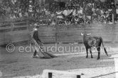 Local Corrida in honor of Picasso. French lady bullfighter Pierrette Le Bourdiec, "La Princesa de París". Vallauris 1955. A bullfight Picasso attended (see "Picasso"). - Photo by Edward Quinn