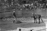 Local Corrida in honor of Picasso. French lady bullfighter Pierrette Le Bourdiec, "La Princesa de París". Vallauris 1955 - Photo by Edward Quinn