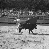 Pepe Luis Marca, Spanish bullfighter, in action during the bullfight which Picasso organized at Vallauris. Vallauris 1954. A bullfight Picasso attended (see "Picasso"). - Photo by Edward Quinn