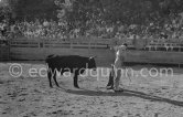 Bullfighter Pepe Luis Marca. Local Corrida in honor of Picasso. Vallauris 1954. A bullfight Picasso attended (see "Picasso"). - Photo by Edward Quinn