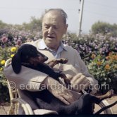 Somerset Maugham with his dog George. Villa Mauresque, Saint-Jean-Cap-Ferrat 1960. - Photo by Edward Quinn