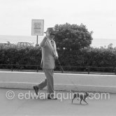 "La Môme Moineau" ("the kid sparrow"), Lucienne Suzanne Dhotelle, French singer, with her Chihuahua. "The richest woman of the Côte d'Azur", former flower seller, wife of Felix Benitez-Rexach, Puerto Rican engineer and architect. Cannes 1959. - Photo by Edward Quinn