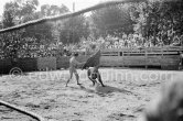 Jose Montero. First Corrida of Vallauris 1954. A bullfight Picasso attended (see "Picasso"). - Photo by Edward Quinn