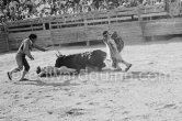 Jose Montero in trouble at the first corrida of Vallauris 1954. A bullfight Picasso attended (see "Picasso"). - Photo by Edward Quinn