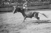 Jose Montero. Vallauris 1954. A bullfight Picasso attended (see "Picasso"). - Photo by Edward Quinn