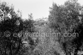 Mougins 1962. - Photo by Edward Quinn