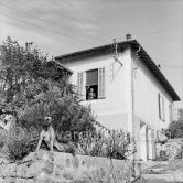 Pablo Picasso at a window of La Galloise in Vallauris. Pablo Picasso bought this house of a horticulturalist in 1948. He waited patiently until the restless boxer dog Jan moved into the camera's range. Jan was quite friendly when one was inside the house, but it was always very difficult to get through the garden without one's trouser leg behind tugged. Vallauris 1953. - Photo by Edward Quinn