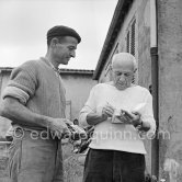 Pablo Picasso signing autograph for a Luciano Emmer Film team member. In front of Le Fournas, Vallauris 1953. - Photo by Edward Quinn