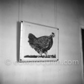 Musée Pablo Picasso Antibes, 10.1953. - Photo by Edward Quinn