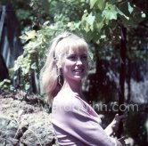 A young art student, Sylvette David, was chosen by Pablo Picasso as model in 1954 for a series of paintings and drawings. Vallauris 1954. - Photo by Edward Quinn