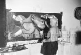 Pablo Picasso portrays a stage in the bullfight when the bullfighter is caught by the horns of the bull. During filming of "Le mystère Picasso". Nice, Studios de la Victorine, 1955. - Photo by Edward Quinn
