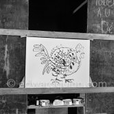 Something begun as a bouquet has become first a fish, then a cock, and finally the head of a faun. "Le mystère Picasso", Nice, Studios de la Victorine 1955. - Photo by Edward Quinn