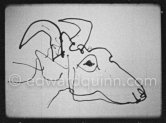 Development of goat painting. "Le mystère Picasso", Nice, Studios de la Victorine 1955. - Photo by Edward Quinn