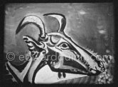 Development of goat painting. "Le mystère Picasso", Nice, Studios de la Victorine 1955. - Photo by Edward Quinn