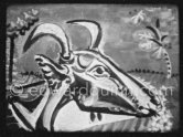 Development of goat painting. "Le mystère Picasso", Nice, Studios de la Victorine 1955. - Photo by Edward Quinn