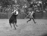 Bullfight scenes at the corrida put on in Picasso's honor. Vallauris 1955. - Photo by Edward Quinn