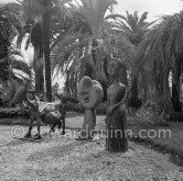 Sculptures in the gardens of La Californie, Cannes 1956. - Photo by Edward Quinn
